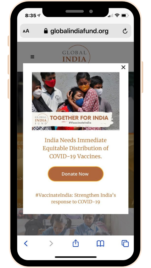 global-india-fund